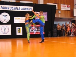 Obrázek v galerii