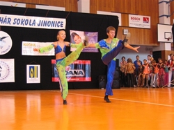 Obrázek v galerii