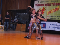 Obrázek v galerii
