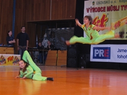 Obrázek v galerii
