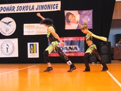 Obrázek v galerii