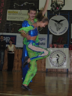 Obrázek v galerii