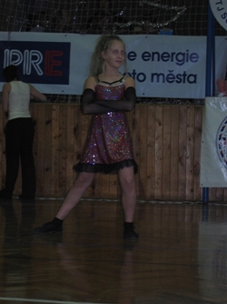 Obrázek v galerii