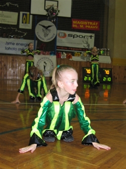 Obrázek v galerii