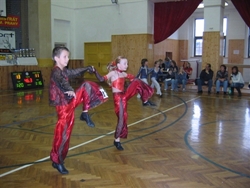 Obrázek v galerii