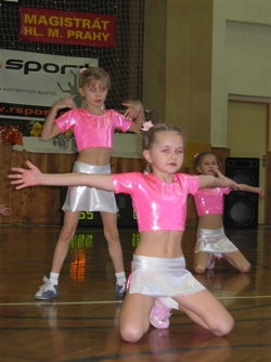 Obrázek v galerii