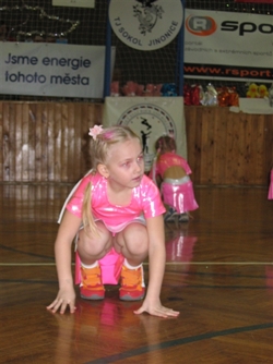 Obrázek v galerii
