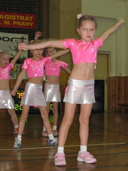 Obrázek v galerii