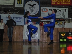Obrázek v galerii