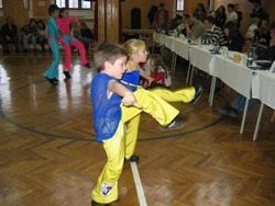 Obrázek v galerii