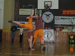 Obrázek v galerii