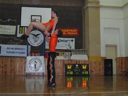 Obrázek v galerii