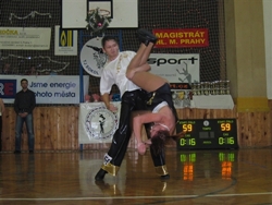 Obrázek v galerii