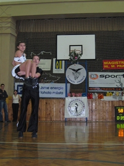 Obrázek v galerii