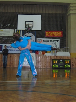 Obrázek v galerii