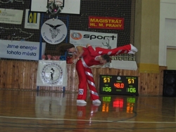 Obrázek v galerii