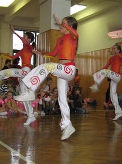 Obrázek v galerii