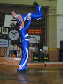 Obrázek v galerii