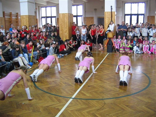 Obrázek v galerii
