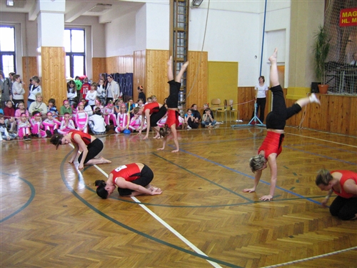 Obrázek v galerii