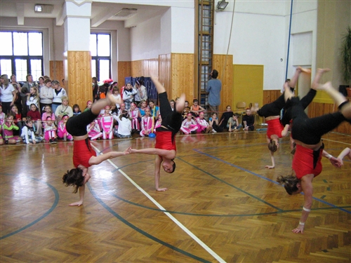 Obrázek v galerii