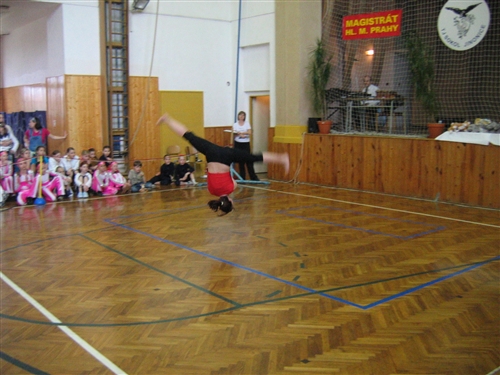 Obrázek v galerii