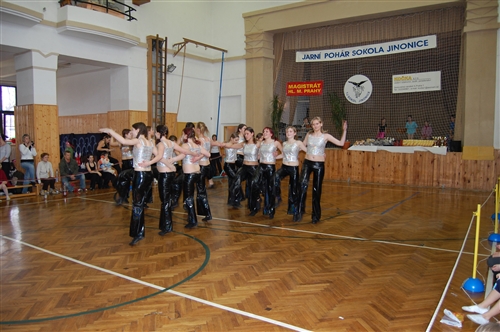 Obrázek v galerii