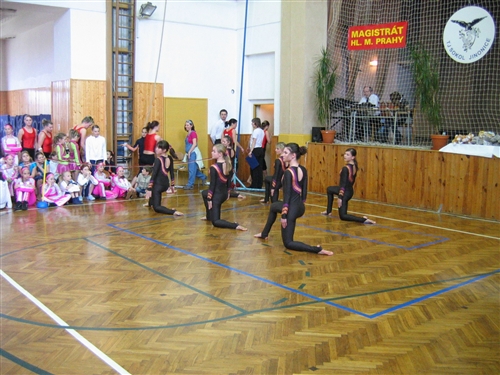Obrázek v galerii