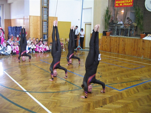 Obrázek v galerii