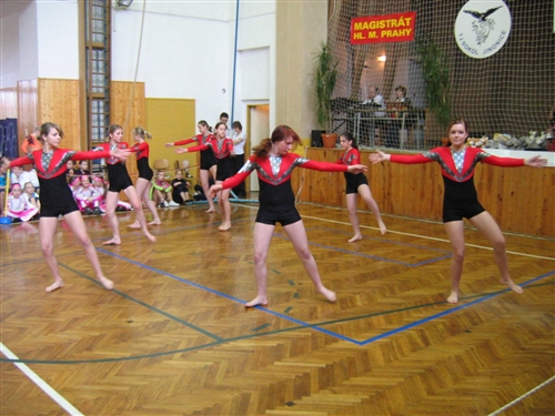 Obrázek v galerii