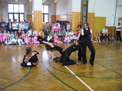 Obrázek v galerii