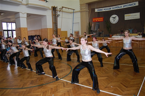 Obrázek v galerii