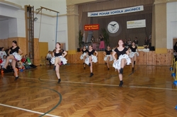 Obrázek v galerii