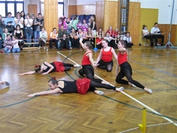 Obrázek v galerii