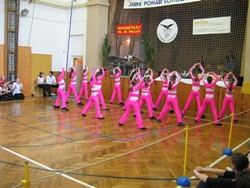 Obrázek v galerii