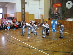 Obrázek v galerii