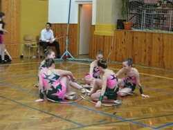 Obrázek v galerii