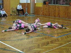 Obrázek v galerii