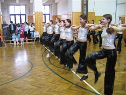 Obrázek v galerii