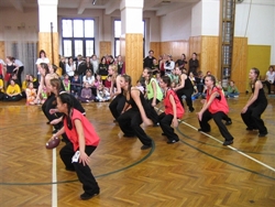 Obrázek v galerii