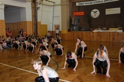 Obrázek v galerii