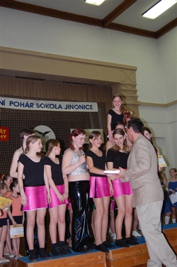 Obrázek v galerii