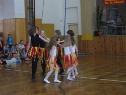 Obrázek v galerii