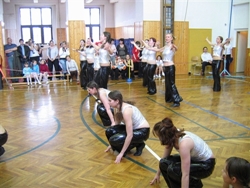 Obrázek v galerii