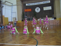 Obrázek v galerii