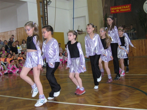 Obrázek v galerii