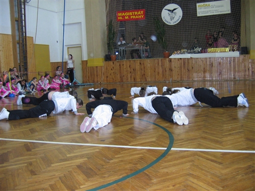 Obrázek v galerii