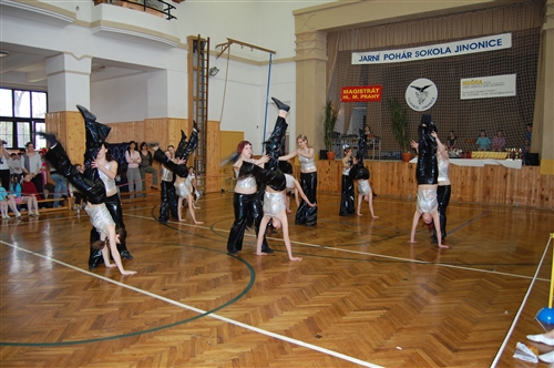 Obrázek v galerii