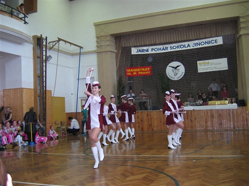 Obrázek v galerii