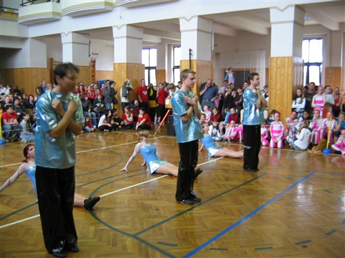Obrázek v galerii
